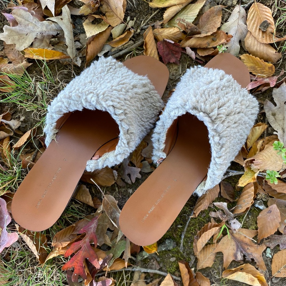 ZARA Basic Collection Mules